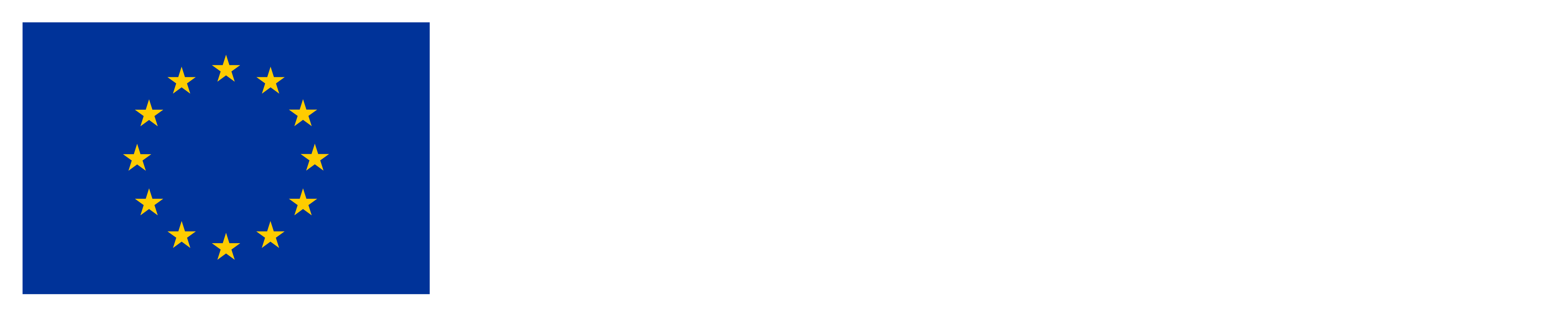 Medegefinancierd door de Europese Unie
